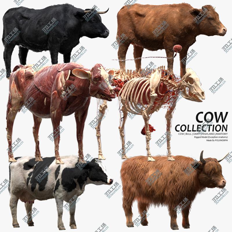 images/goods_img/202104021/3D Cow Collection (Anatomy) model/1.jpg
